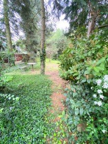  Sehr sch�nes Baugrundst�ck mit Baumbestand direkt in Zeitz